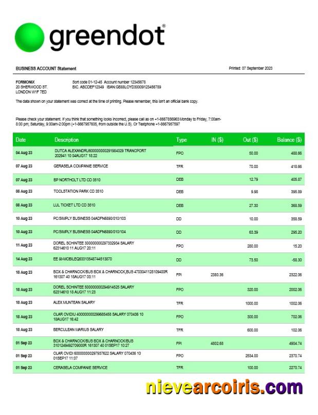 Green Dot Bank business checking account statement